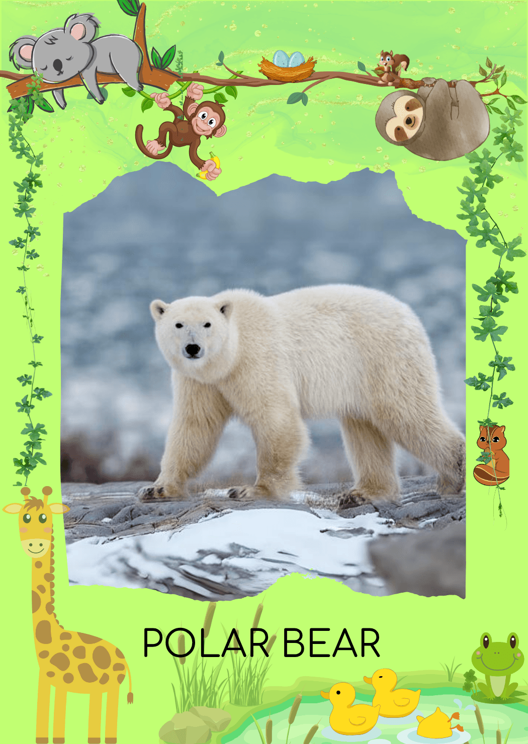 card-1768401529067-2