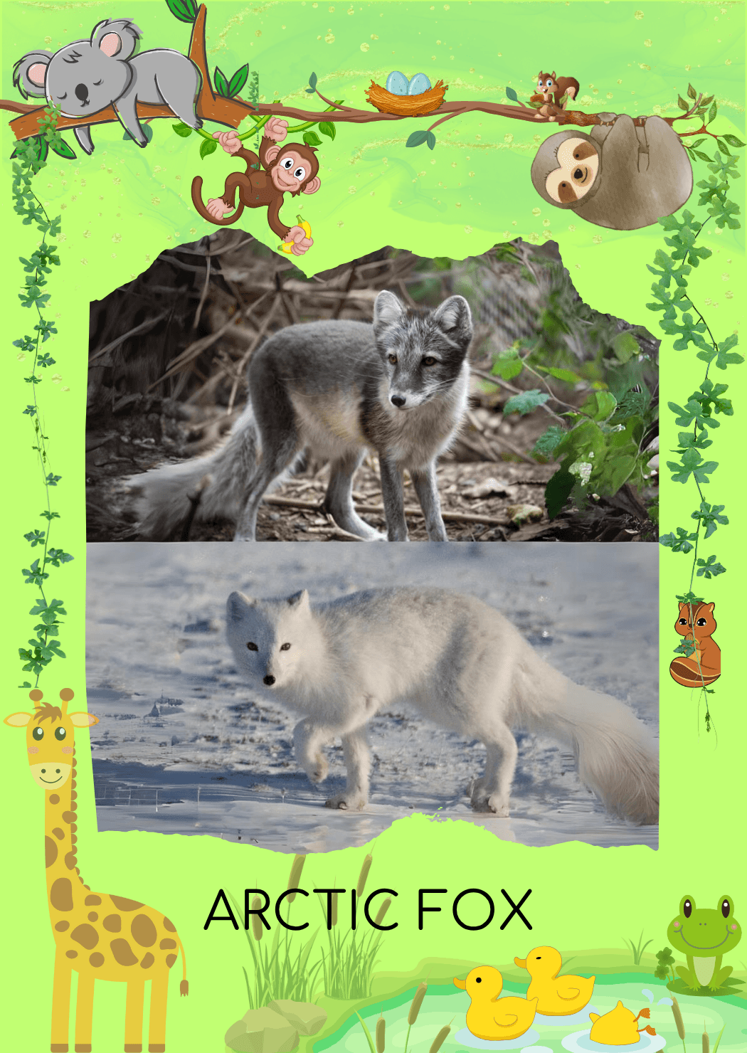 card-1768401530909-3