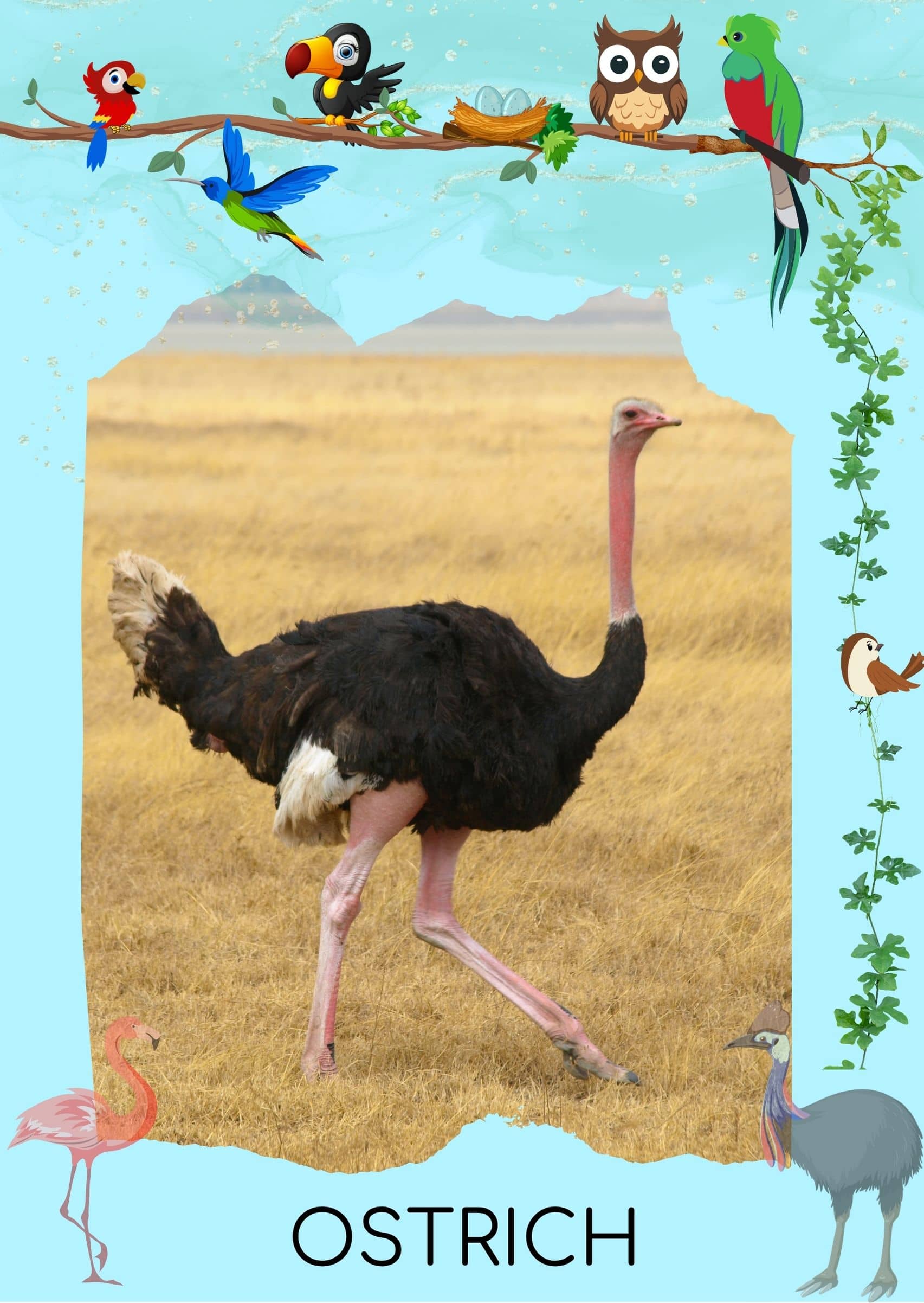 card-1768401580916-3
